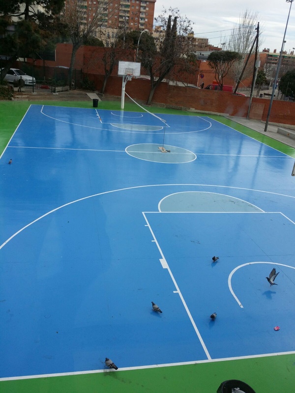 Pavimentos Deportivos en Barcelona: Soluciones para Instalaciones Deportivas